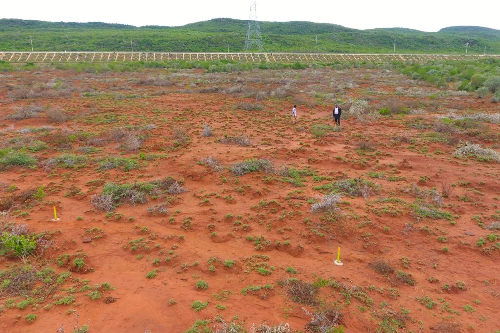 plots-for-sale-in-kikuyu-nachu-4-min