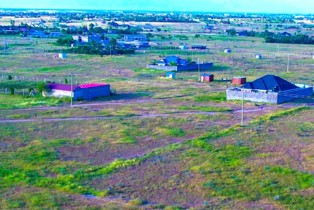 royal-haven-joska-malaa